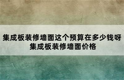 集成板装修墙面这个预算在多少钱呀 集成板装修墙面价格